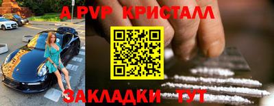 скорость Кингисепп