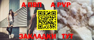 скорость Кингисепп