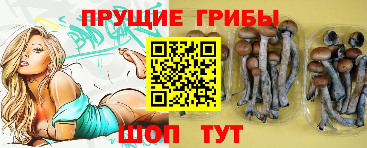 Когалым  Псилоцибиновые грибы Magic Shrooms  Галлюциногенные грибы GOLDEN TEACHER  Вход с VPN 